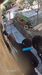 Cambriolage de Joelle Mardinian, célèbre star de la télé libanaise sur les hauteurs de Cannes.