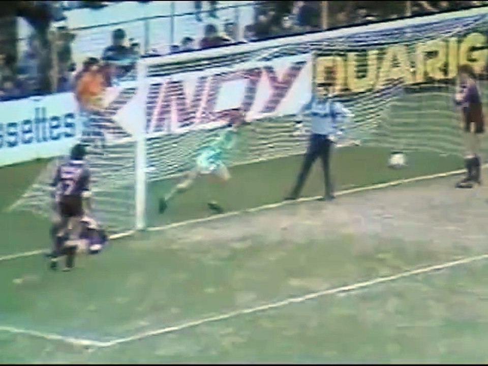 CHAMPIONNAT DE FRANCE - 1983 - SAISON 1982/1983 -