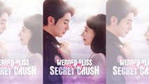 Wedded Bliss With My Secret Crush - Full HD Movie [Eng Sub]