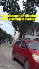 "God changes all paths from morning to evening"