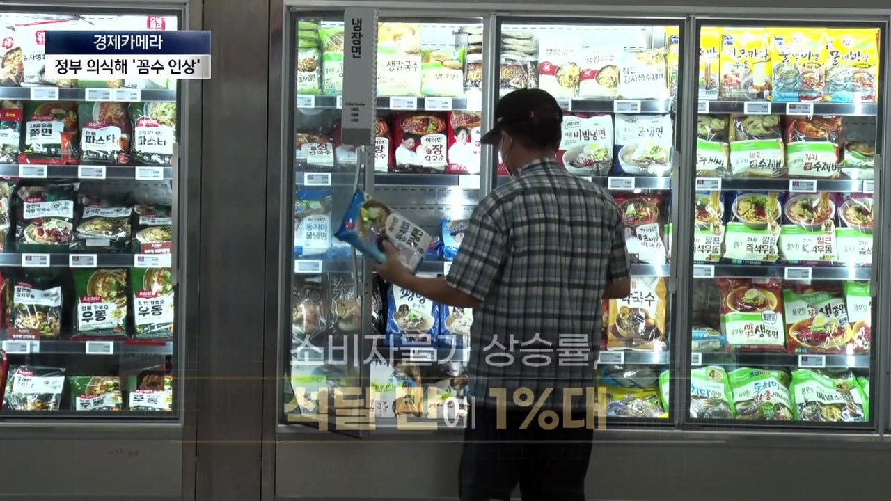 [경제카메라]치즈 줄이고 과일 빼고…새 정부 의식해 ‘꼼수 인상’
