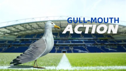 Gull-Mouth Action podcast - episode 96 | Brighton beaten but Crawley Town are victorious