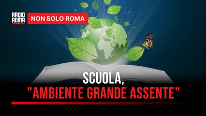 La Fondazione Marevivo denuncia: "Poco risalto all'ambiente nella scuola"
