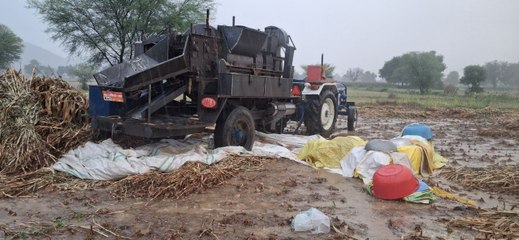 सकट क्षेत्र में तेज हवा के साथ बारिश, तैयार फसल पानी में डूबी