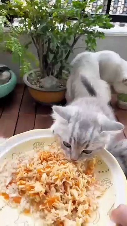 Time to eat . A Beautiful moment #80
