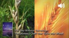 WP142. The Almost Chaff That Turns into Wheat