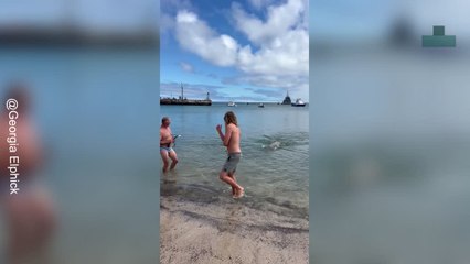 Scared by a Sea Lion