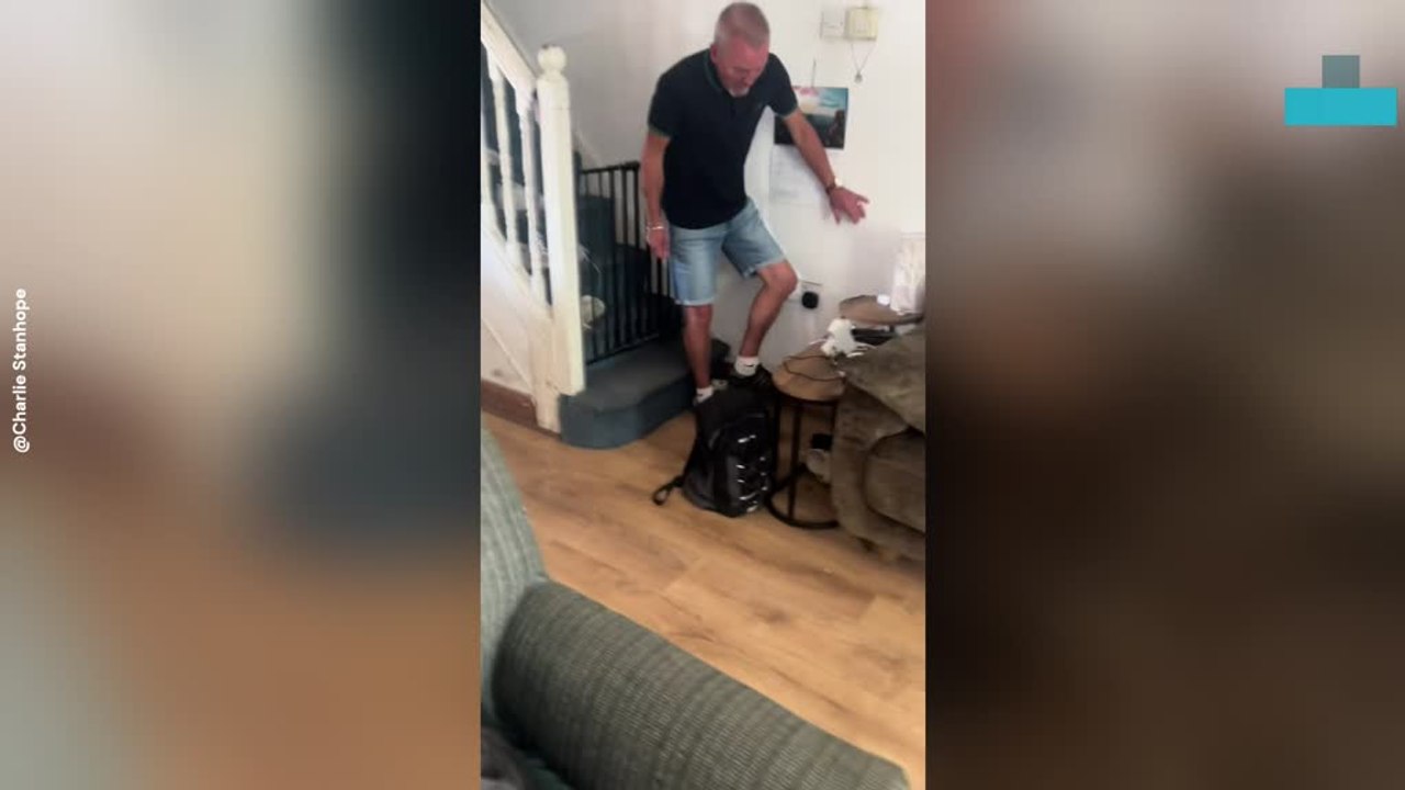 Curious Squirrel Gets Close-up After Shoe Climb