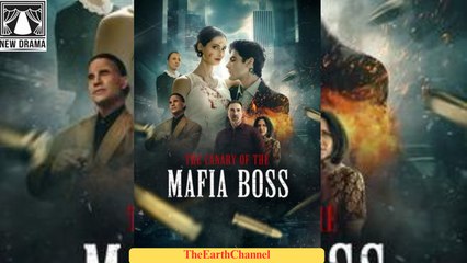 🍏💛🏴🔥  🌹 11.04 The Canary of the Mafia Boss dailymotion 🌐x9qpmq4