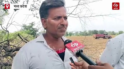 मध्य प्रदेश में बर्बाद हुए सोयाबीन किसान, खड़ी फसल पर रोटावेटर चलाने को विवश