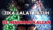 Jika Lalat Jatuh Di Minuman Anda Maka Celupkanlah