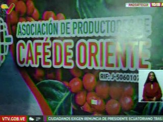 Anzoátegui | 54 toneladas de café venezolano parten desde Barcelona con destino a Rusia