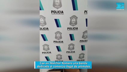 Cae en Melchor Romero una banda dedicada al comercio ilegal de animales