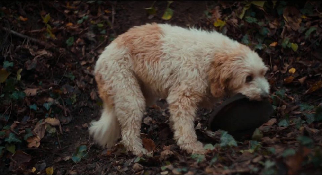 Trifole Trailer OmeU