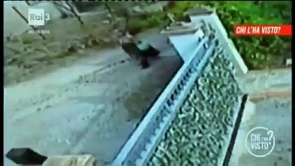 Italia Nelli, 9 anni fa la scomparsa all'Elba: il video di Chi l'ha visto?