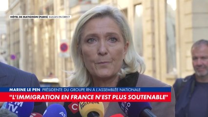 Marine Le Pen : «Il faut revenir aux urnes.»