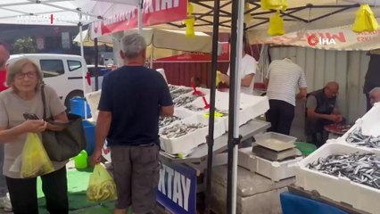 Zonguldak tezgahlarında hamsi bolluğu