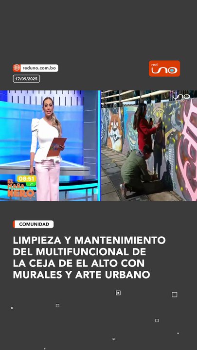 LIMPIEZA Y MANTENIMIENTO DEL MULTIFUNCIONAL DE LA CEJA DE EL ALTO CON MURALES Y ARTE URBANO
