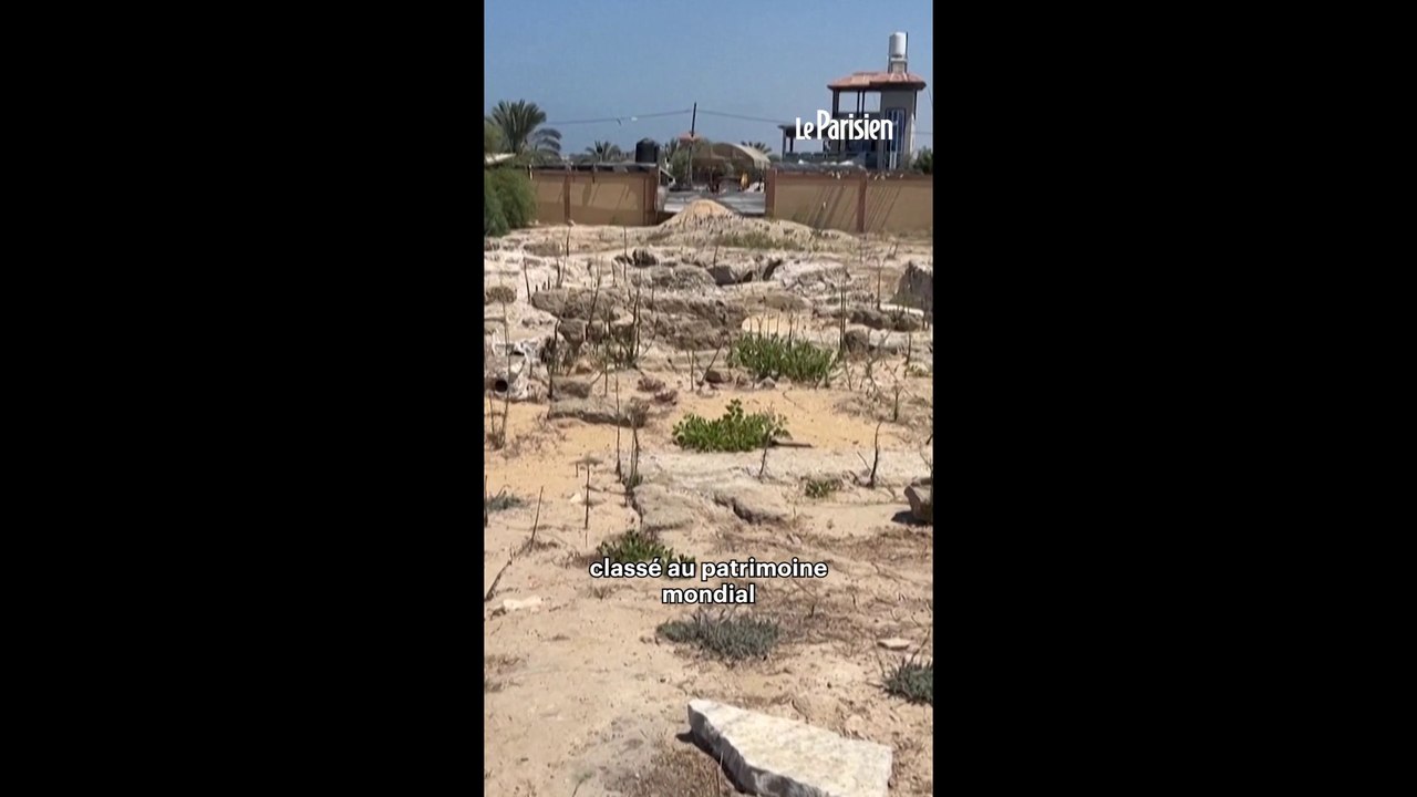 Des trésors archéologiques de Gaza sauvés des bombes in extremis