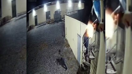 Vigilante armado reage a assalto em galpão e dois bandidos morrem