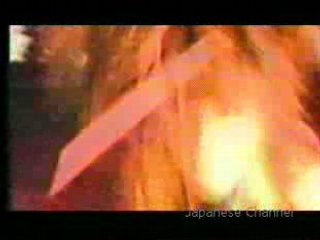 dir en grey Garden pv