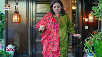 Pal Do Pal Episode 42  - 17 September 2025   Junaid Jamshaid Niazi   Tuba Anwer   ARY Digital