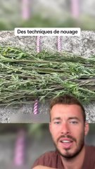 Quel est votre préféré ?