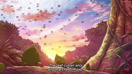 Uchuujin MuuMuu Ep 24