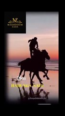 میں ہاروں گا نہیں، یہ میں جانتا ہوں — I will not lose