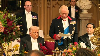 King hosts President Trump at state banquet