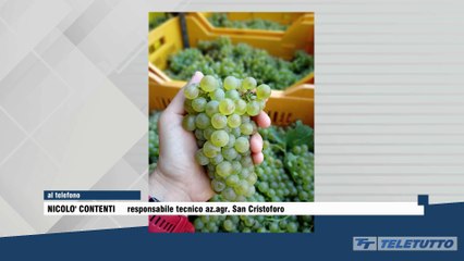 Teletutto Racconta - Puntata del 17/09/2025