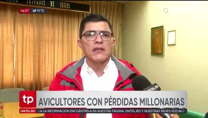 Avicultores denuncian pérdidas de Bs 12 millones por semana por falta de diésel