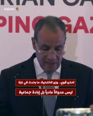 تحذير قوي.. وزير الخارجية ما يحدث في غزة ليس عدواناً عادياً بل إبادة جماعية