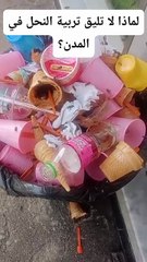 لماذا لا ينصح بتربية النحل في المدن ؟