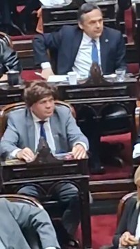 La peluca de Aldo Leiva al momento de la votación de Diputados