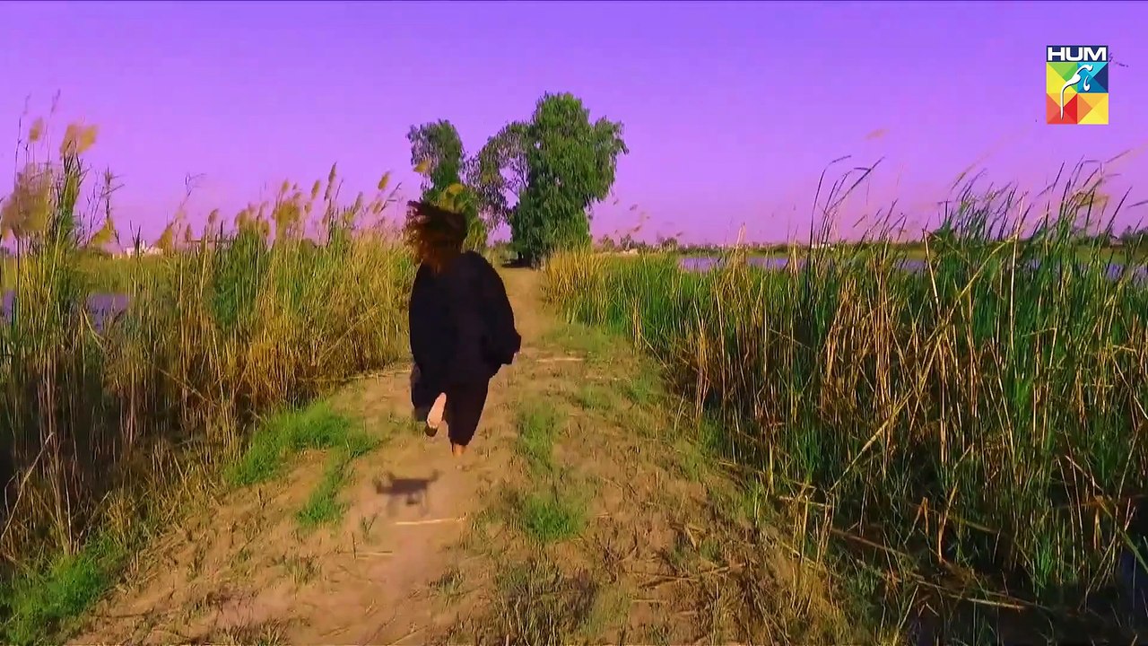 Qismat Full OST