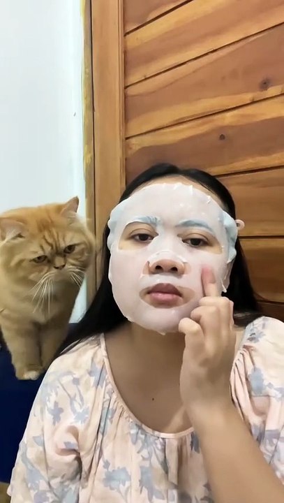 Miauisk (chat en masque)