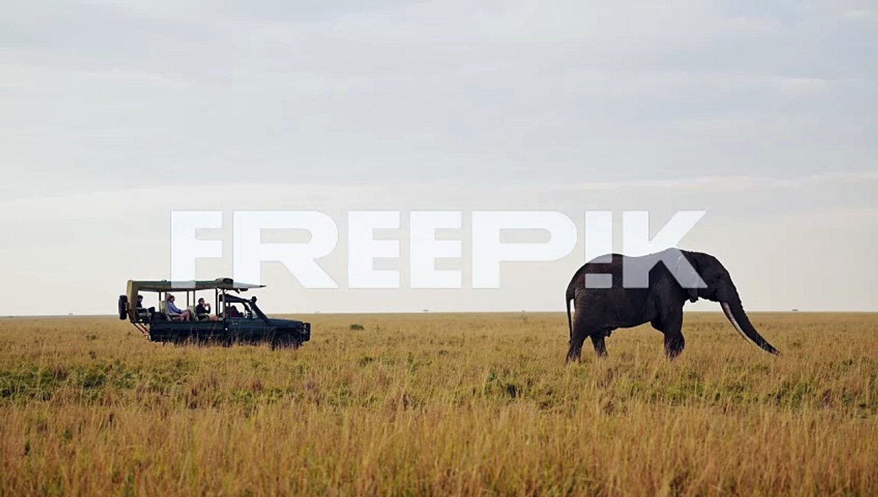 Slow Motion Shot of 4x4 jeep close to large elephant on the horizon watching on safari adventure travel, African Wildlife in Maasai Mara National Reserve, Kenya, Africa Animals in Masai Mara