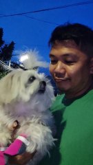 🔴 THURSDAY WALK WITH DIDI AND PICKLES #shihtzu