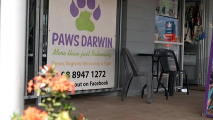Darwin pet owners given new hope thanks to anonymous donations made to a local vet