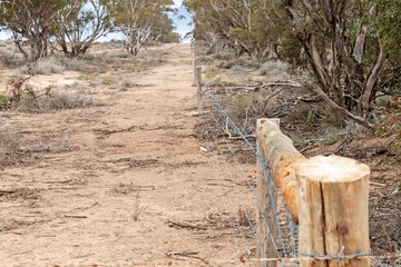 Eudunda farmland offered at SA public auction.