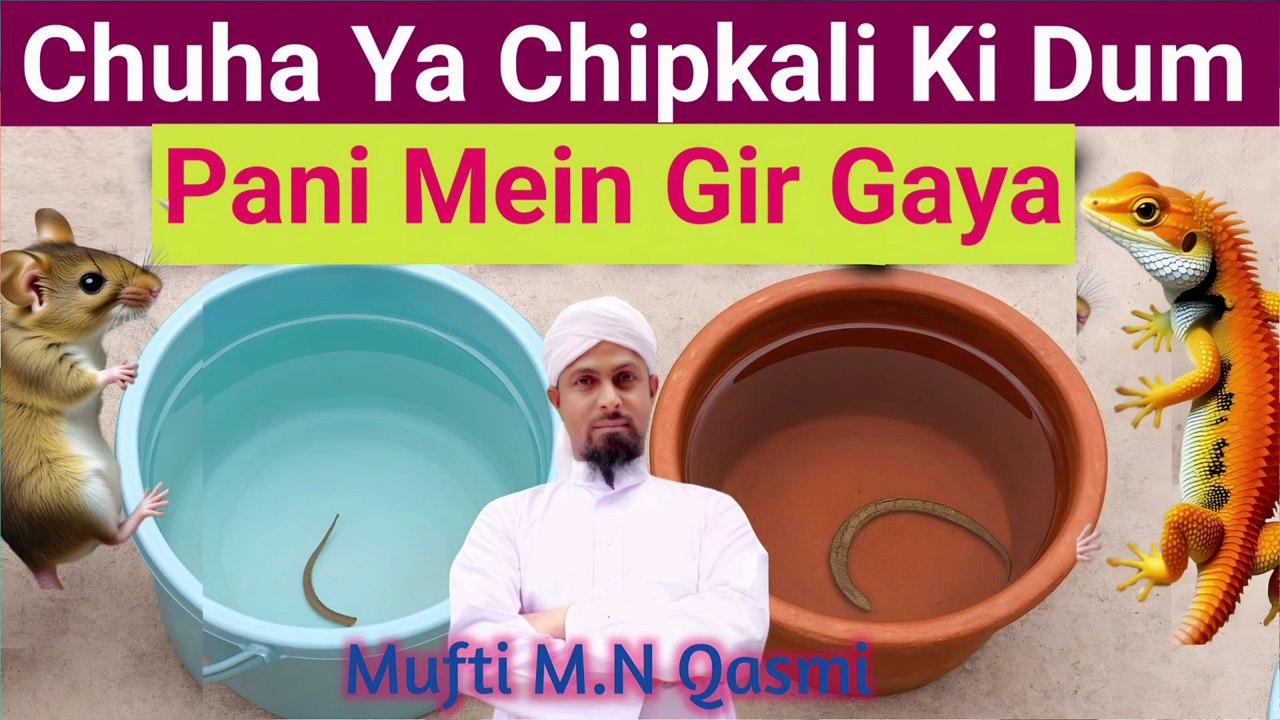 Chuha Ya Badi Chhipkali Ki Dum Pani Mein Gir Jaye To Pani Napaak? Islami Hukm