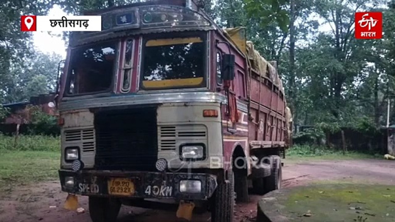 कुंवारपुर वन परिक्षेत्र से लाखों की नीलगिरी की लकड़ी जब्त