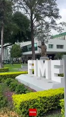 ¿Quién era el maestro Orlando Maximiliano? Aquí te lo decimos