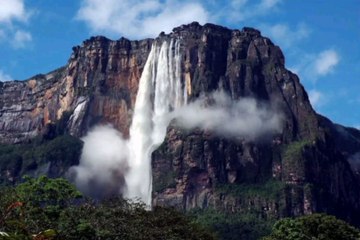 Canaima cuenta con la cascada más alta del mundo.🤔🟢