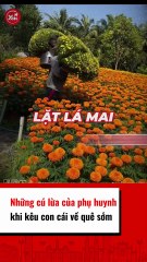 Những cú lừa của phụ huynh khi kêu con cái về quê sớm