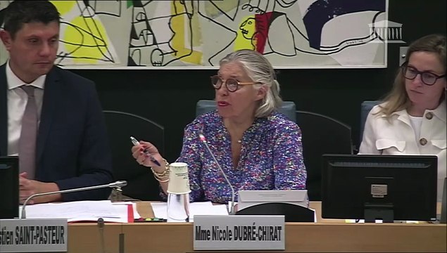 Prise en charge de la santé mentale et du handicap : Représentants de la Direction de la recherche, des études, de l’évaluation et des statistiques (Drees) - Mercredi 17 septembre 2025