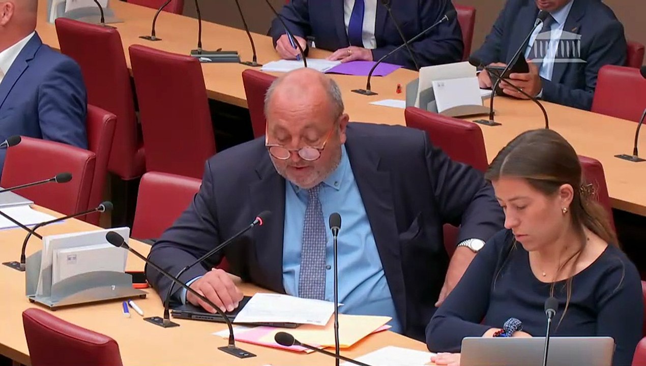 Commission des affaires économiques : M. Rodolphe Saadé, président-directeur général du groupe CMA-CGM ; Présentation des deux pétitions Loi Duplomb - Mercredi 17 septembre 2025