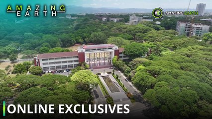 Amazing Earth: How ‘National Arts Month’ shapes UP Diliman! (Online Exclusives)