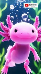 pink axolotl | Learn Animal Names for Kids | Educational Shorts#shorts #cartoon  #cartoonstory